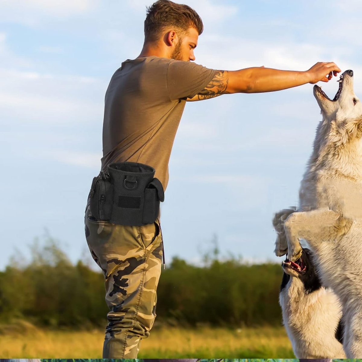 Dog Training Pouch for Treats with Quick Access | Versatile Walk Bag
