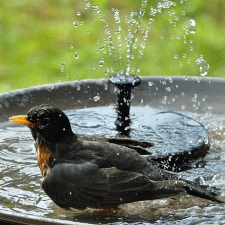 Solar Water Fountain with Adjustable Spray – Eco-Friendly Outdoor Feature