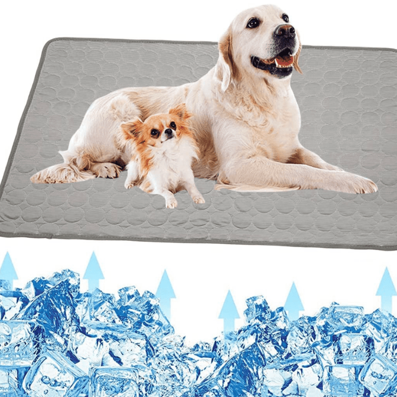 PawBreeze Refreshing Pet Mat for Ultimate Comfort