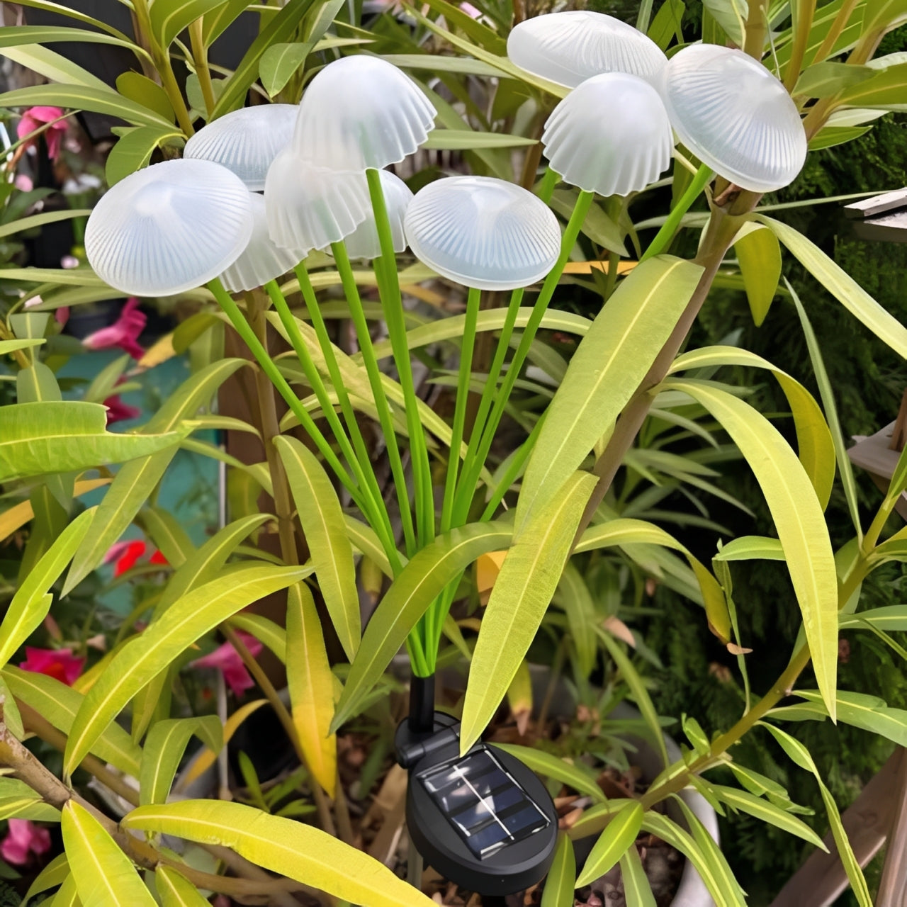 Enchanting Solar Light for Gardens with Colorful LED Effects