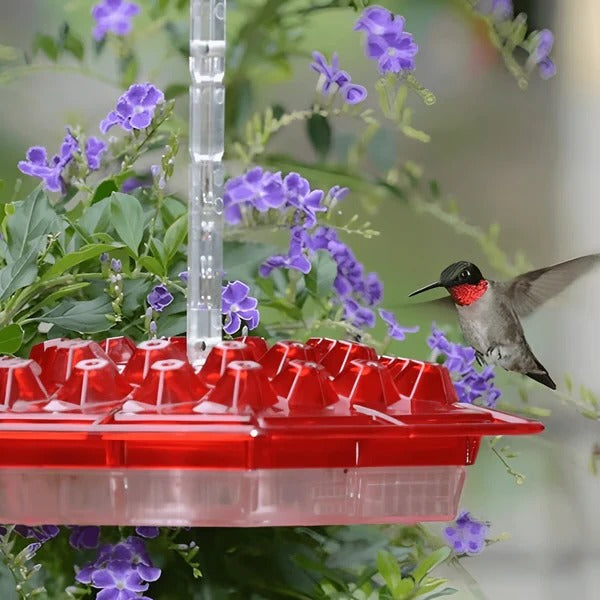 Colorful Glass Hummingbird Feeder with Built-in Ant Moat | Simple Cleaning for Pure Nectar