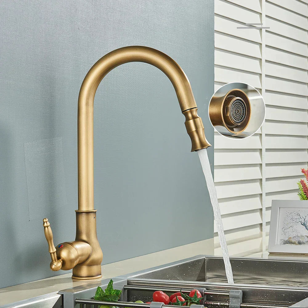 Elegant Brass Swivel Spout Kitchen Mixer Faucet