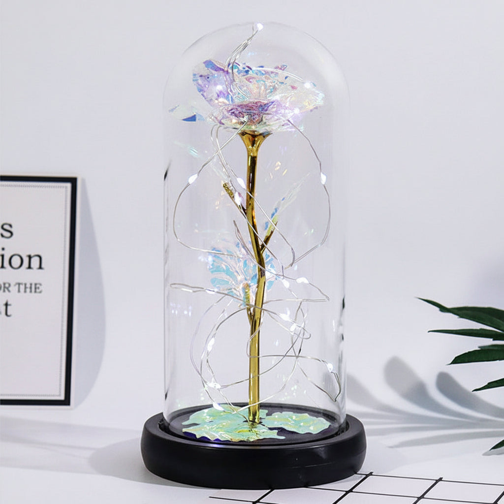 Elegant Rose Display Under Glass Dome with Soft LED Lights