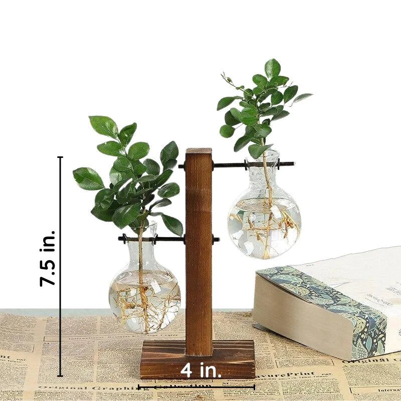 Hydroponic Plant Vase with Wooden Frame