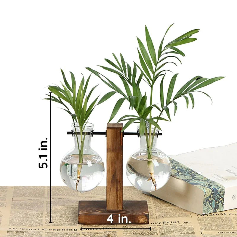 Hydroponic Plant Vase with Wooden Frame