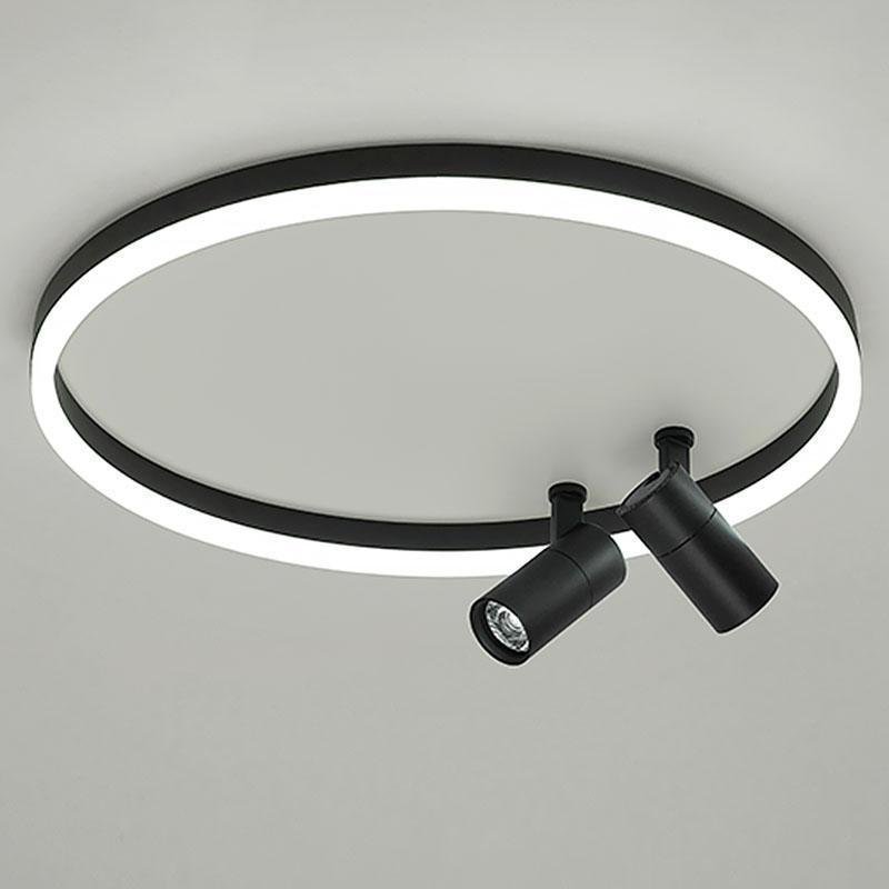 16'' Round Dimmable Adjustable Flush Mount Light with 2 Spotlights Track Lights - Dazuma