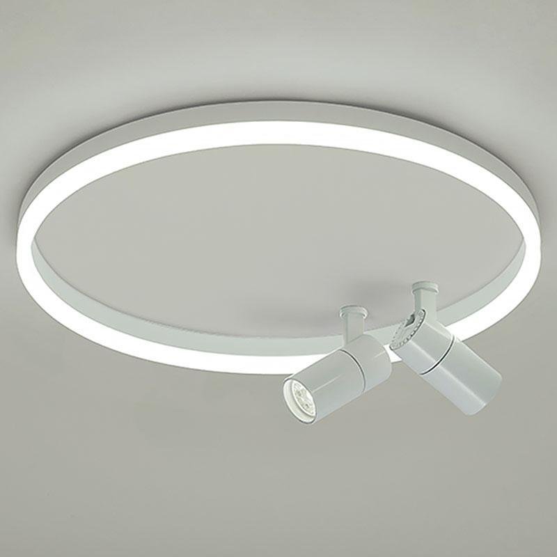 16'' Dimmable Adjustable Flush Mount Light with 2 Rotatable Spotlights Track Lights