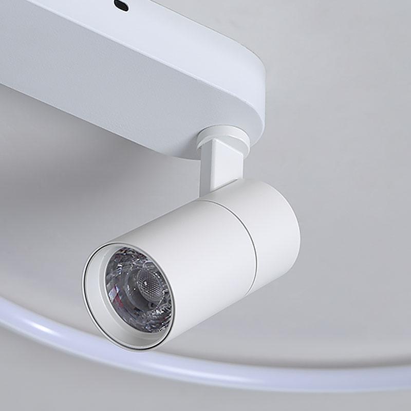 16'' Round Adjustable Dimmable Outdoor Flush Mount Light with Spotlights and Track Lights