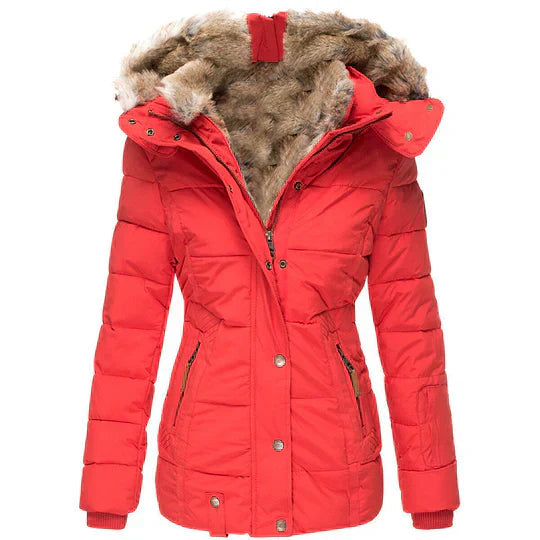 Women's Winter Jacket | Insulating Padded Lining & Faux Fur Hood | Button & Zipper Closure | Warmth and Wind Protection