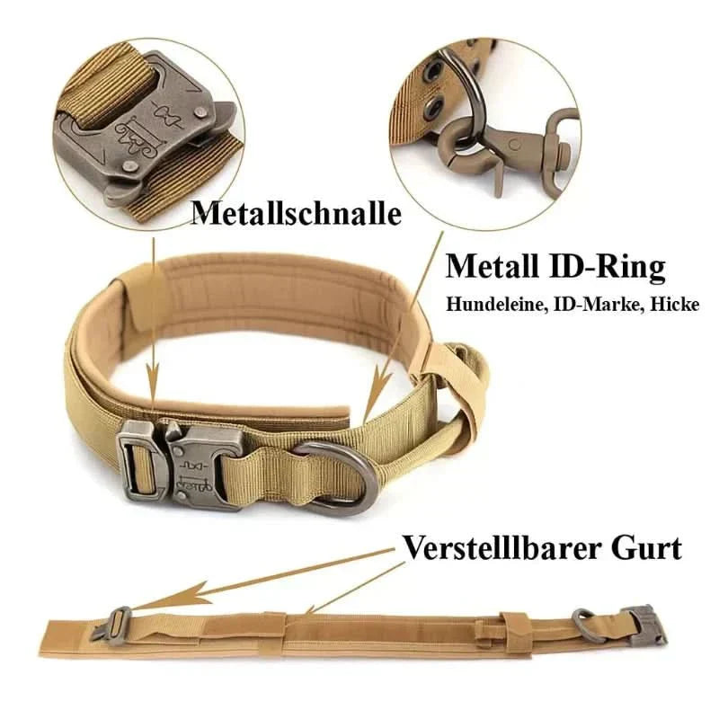 PawGuardian Training Harness for Ultimate Safety and Comfort