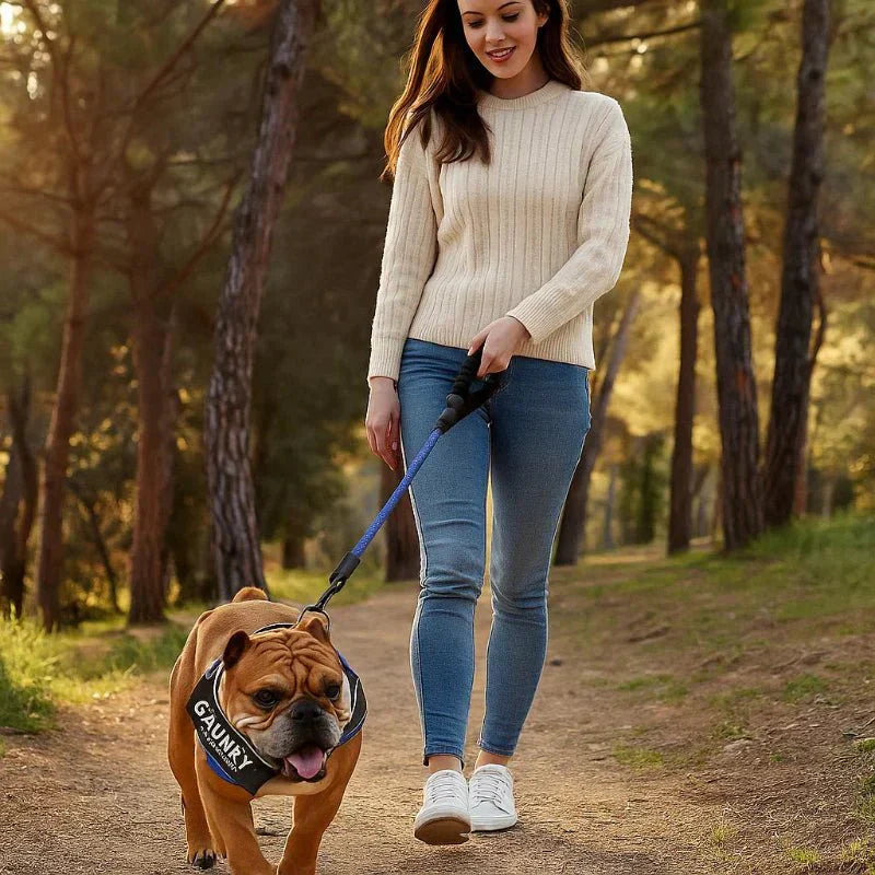 ComfortFit Customizable Dog Harness for Ultimate Safety
