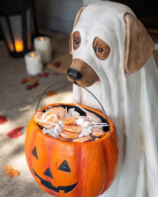 Life-Size Halloween Ghost Dog Candy Bowl Decoration