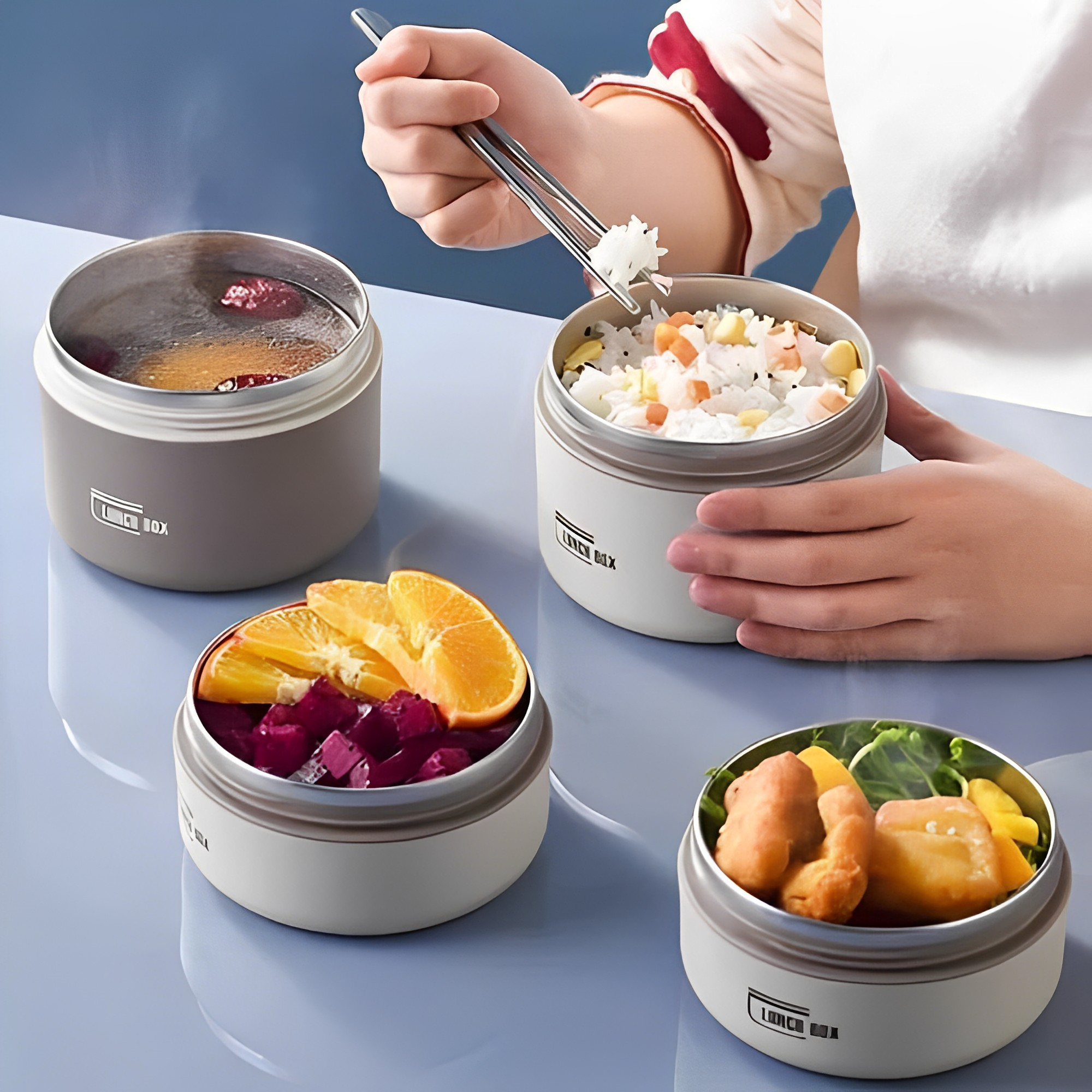 HeatKeeper Portable Meal Container for On-the-Go Dining