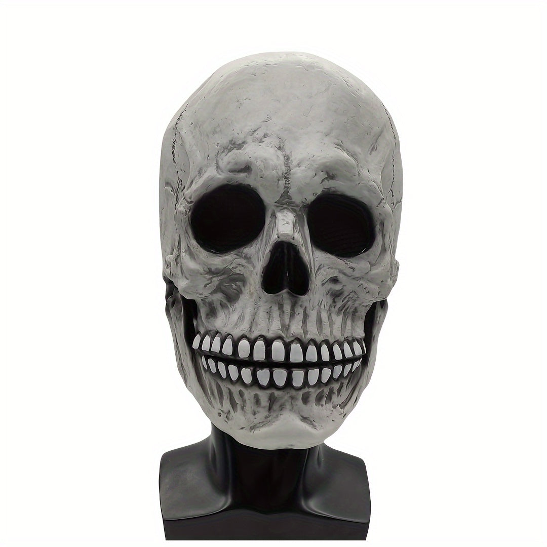 Realistic Halloween Skull Mask with Movable Jaw – Durable Latex Horror Accessory