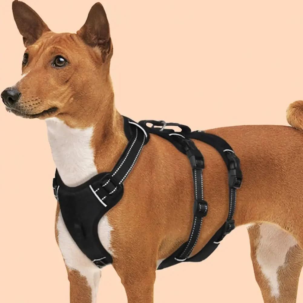 SafeStride Reflective Dog Harness for Secure and Easy Walks