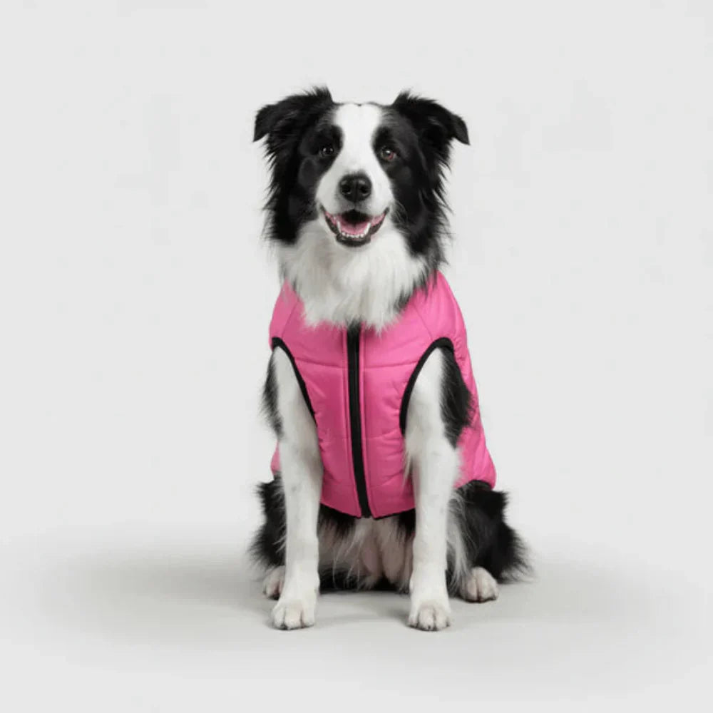 Ultimate Winter Jacket for Dogs: Versatile and Warm
