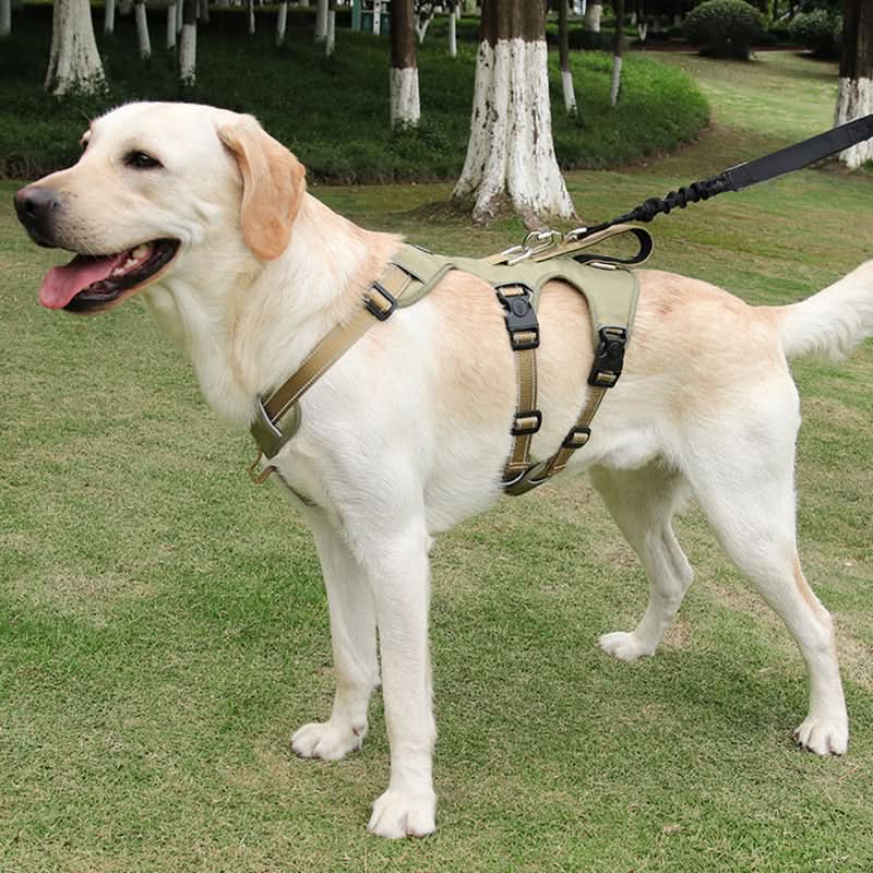 SafeStride Reflective Dog Harness for Secure and Easy Walks