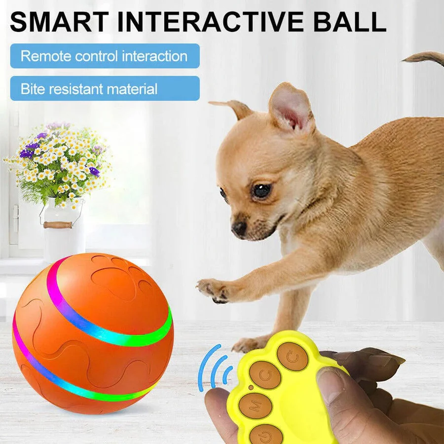 Smart Play Ball for Dogs and Cats - Interactive Fun