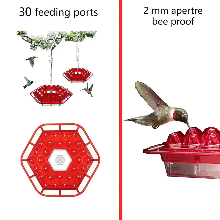 Ultimate Outdoor Hummingbird Feeder with Ant Barrier & Perch