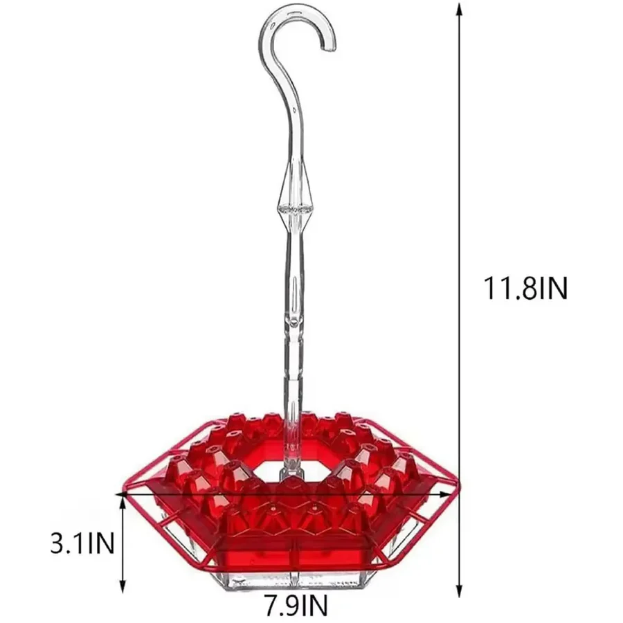 Ultimate Outdoor Hummingbird Feeder with Ant Barrier & Perch