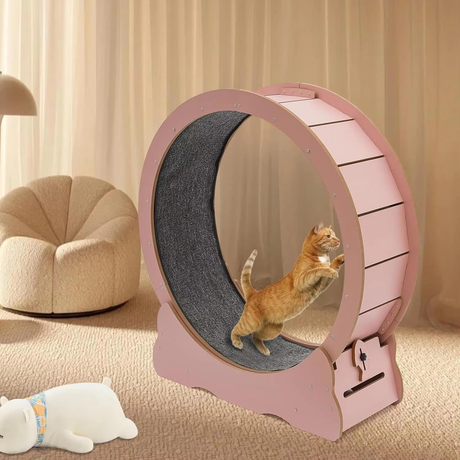 Indoor Cat Fitness Wheel for Active Play