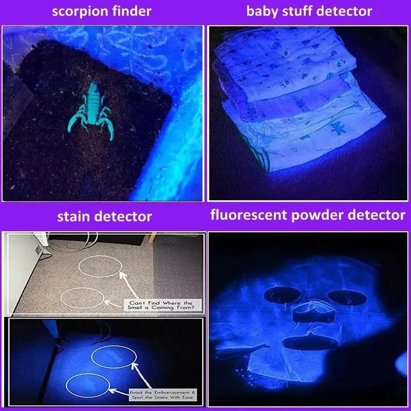 Flashlight with Black Light