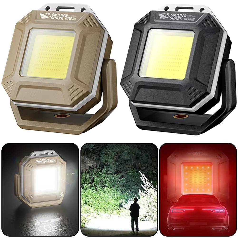 Versatile Vehicle Safety Light with Dual Control
