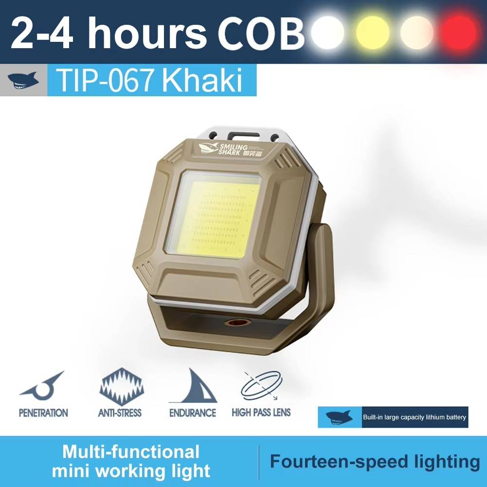 Versatile Vehicle Safety Light with Dual Control