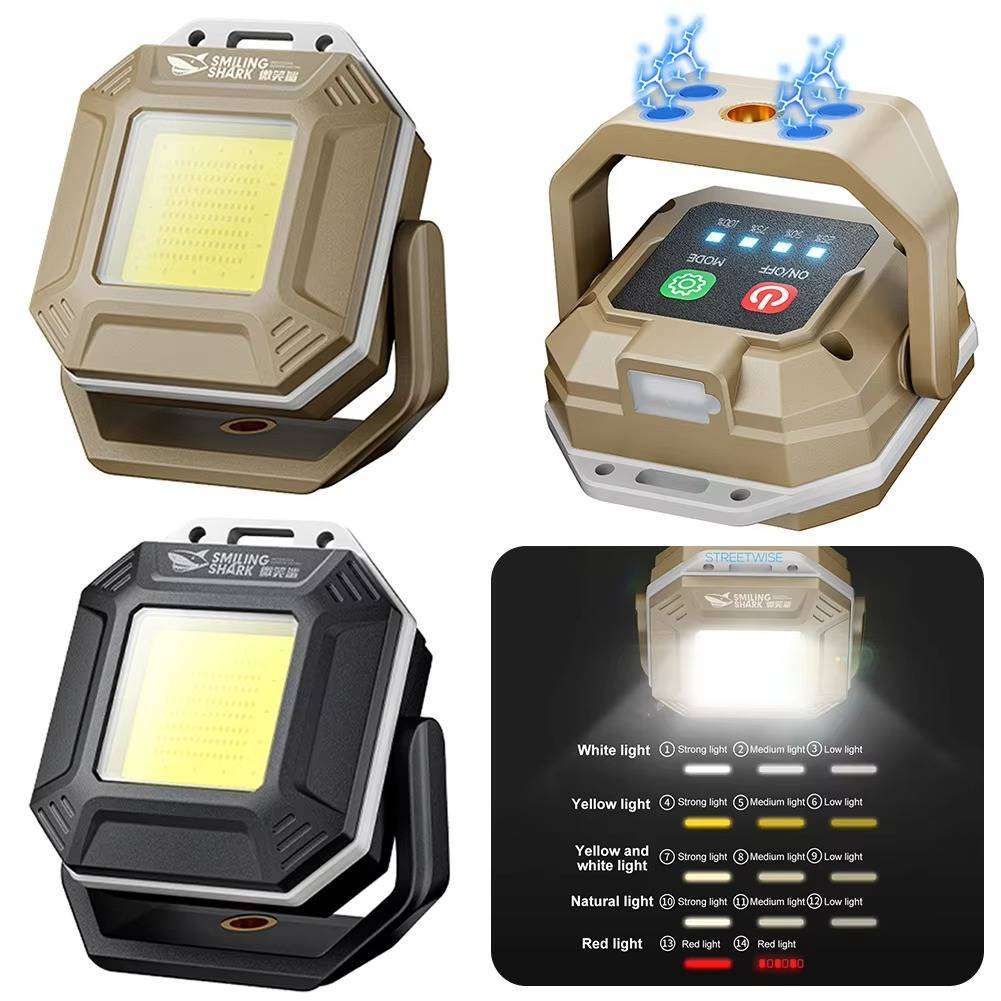 Versatile Vehicle Safety Light with Dual Control