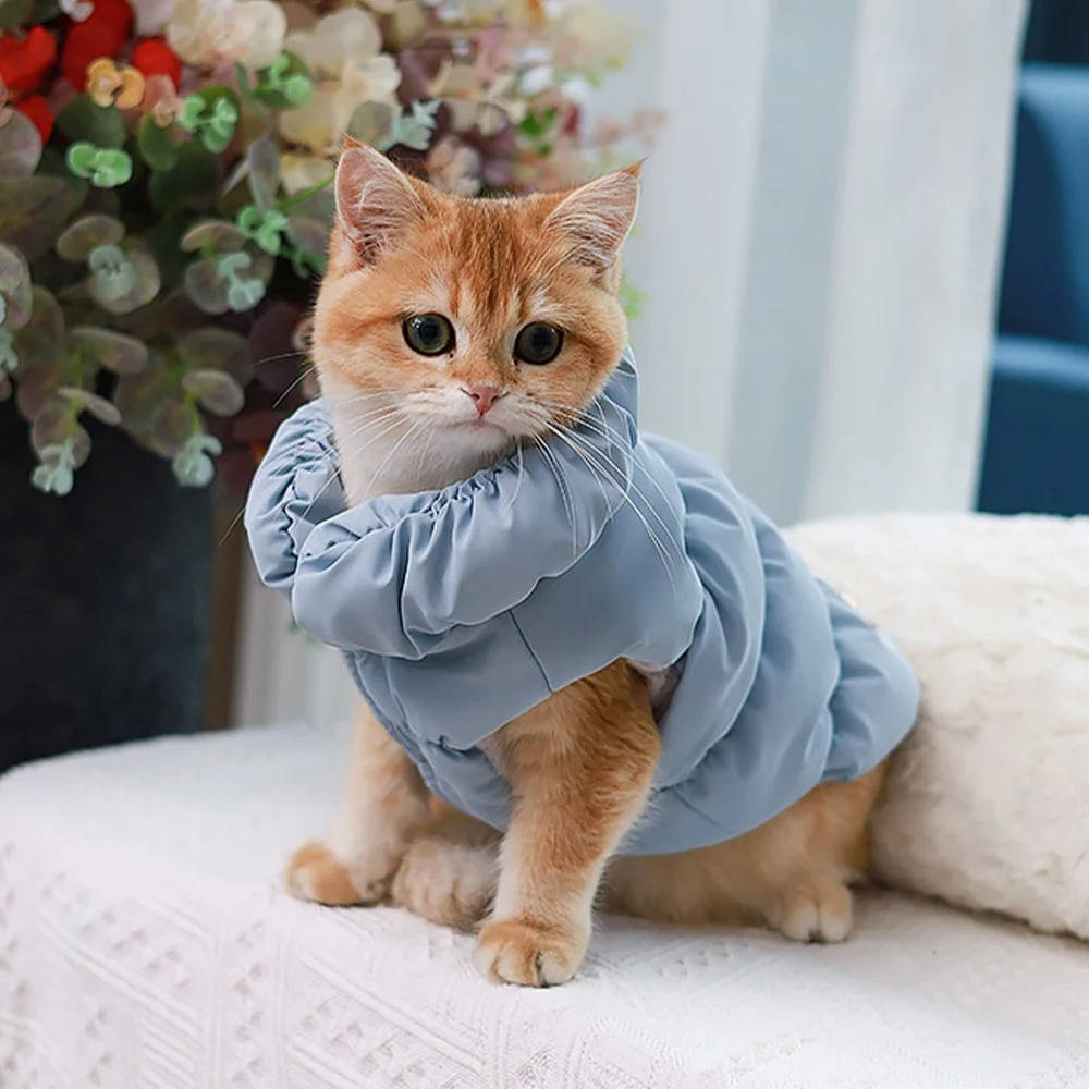 Winter Coat for Small and Medium Dogs - Warm and Cozy