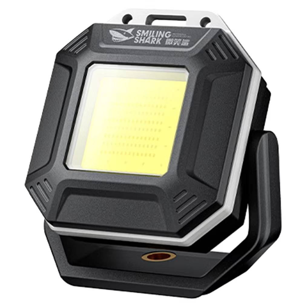 Versatile Vehicle Safety Light with Dual Control
