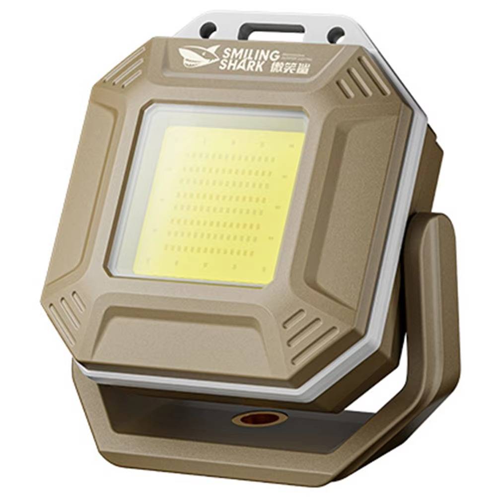 Versatile Vehicle Safety Light with Dual Control