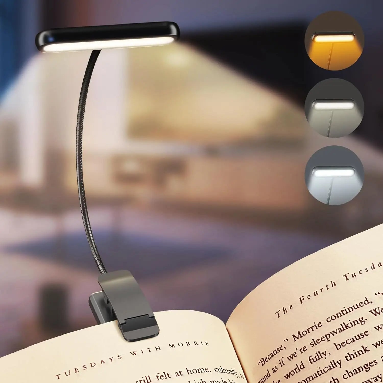 Portable Reading Light with LED Illumination