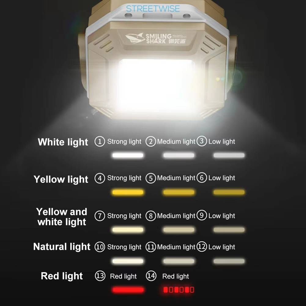 Versatile Vehicle Safety Light with Dual Control