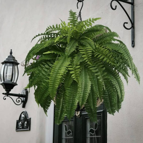 Lifelike Boston Fern Plant – UV-Resistant Artificial Decoration