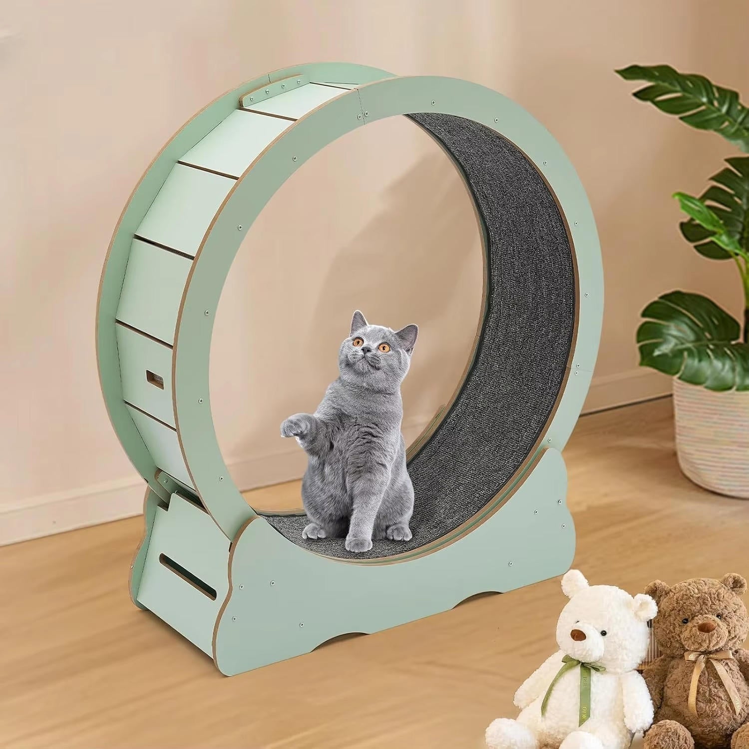 Indoor Cat Fitness Wheel for Active Play