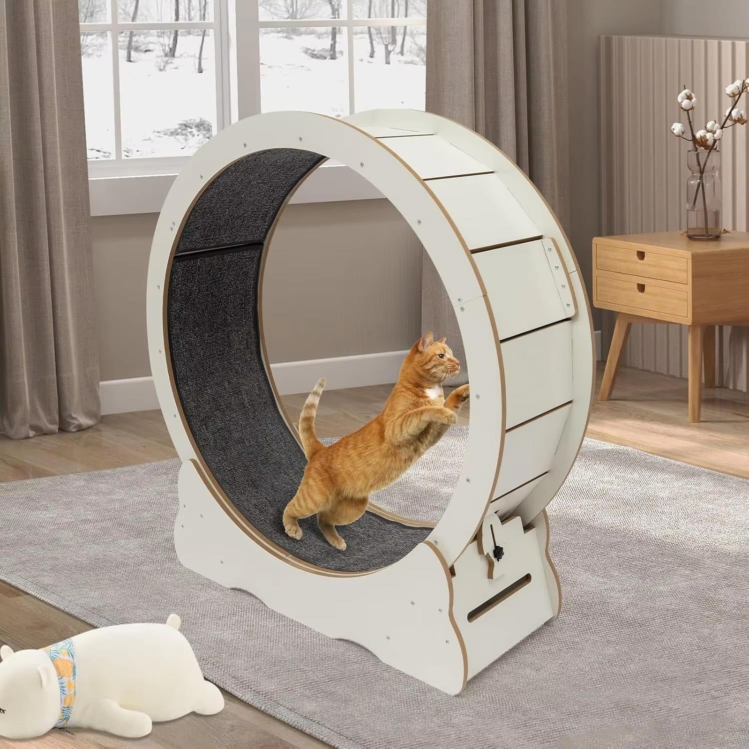 Indoor Cat Fitness Wheel for Active Play