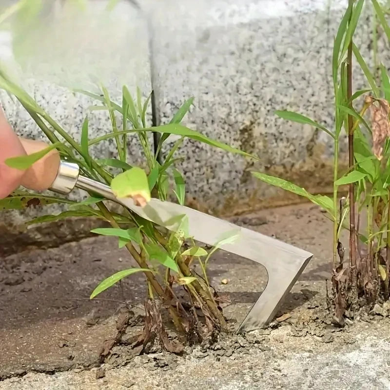 Versatile Tool for Removing Weeds from Brick Joints