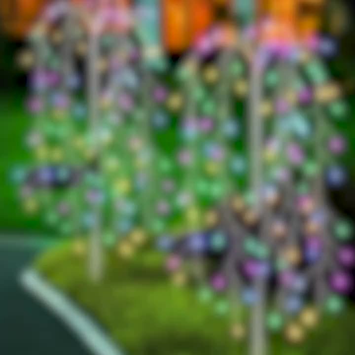 Solar-Powered Outdoor LED Willow String Lights Multicolor Glow for Halloween