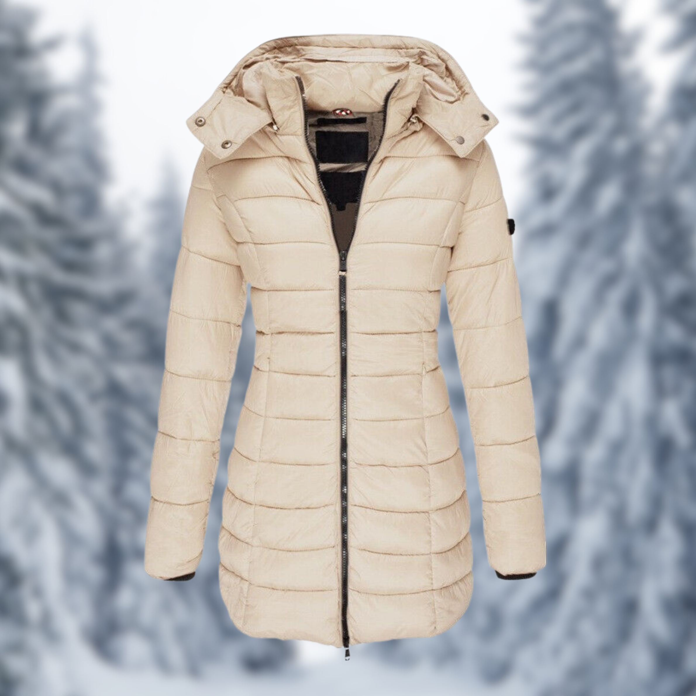 Women's Winter Jacket | Water-Repellent & Wind Resistant | Quilted Hooded Design | Comfortable Fit