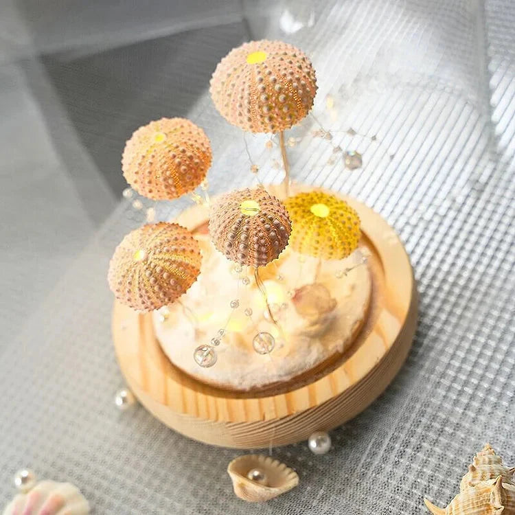 DIY Night Light | Sea Urchin Design | Natural Shell & Gold-Plated Base | Ambient Lighting