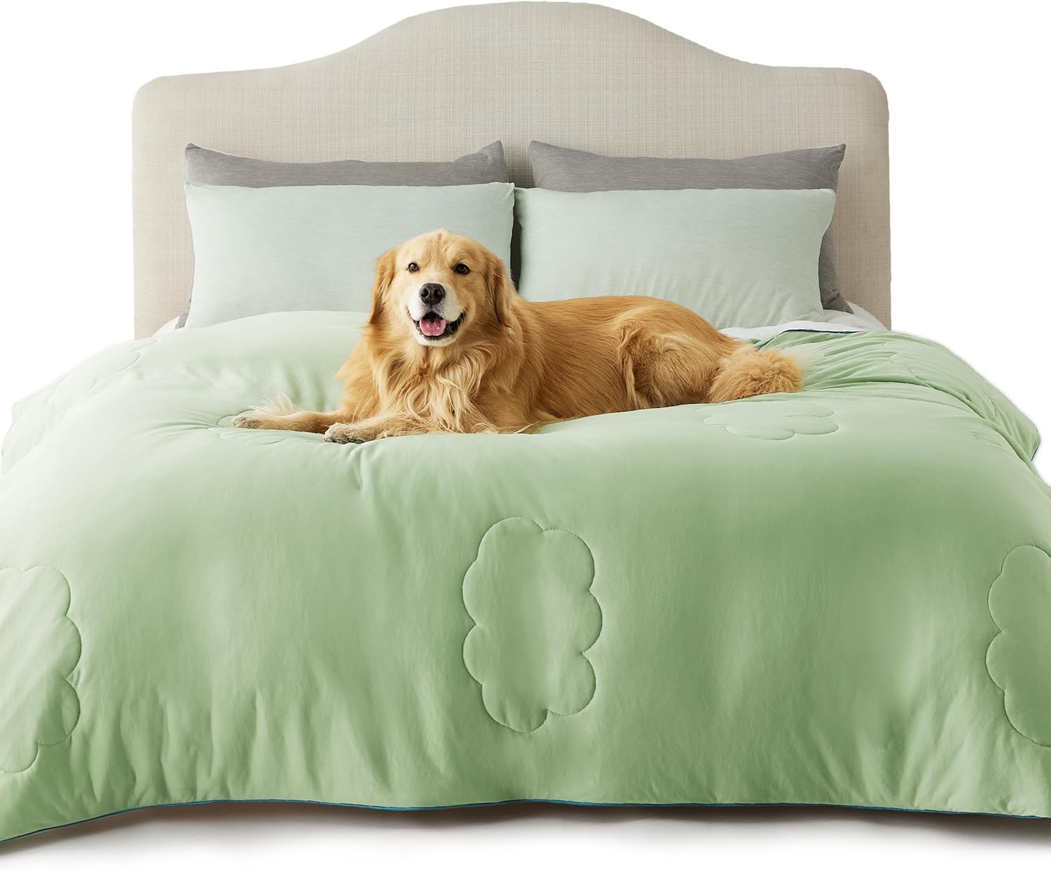 Cooling Dog Blanket with Q-MAX>0.4 | Washable Summer Throw for Pets