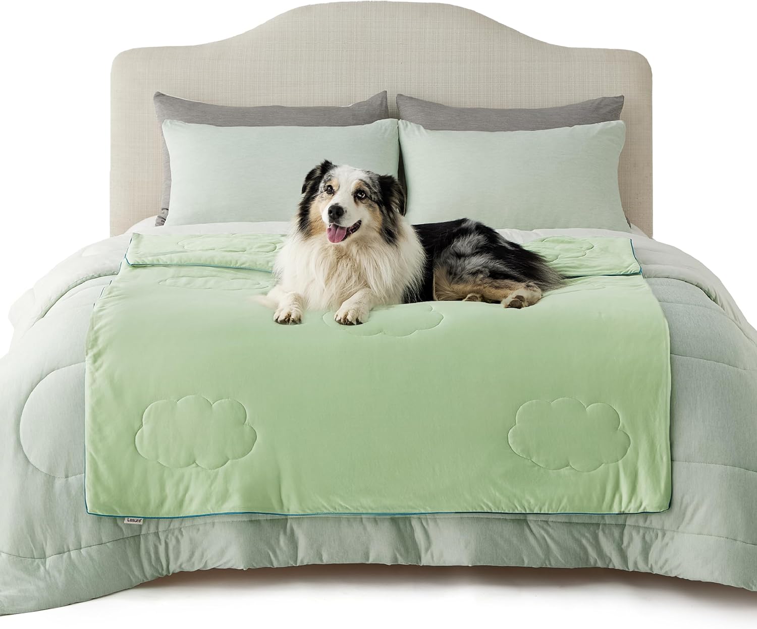 Cooling Dog Blanket with Q-MAX>0.4 | Washable Summer Throw for Pets