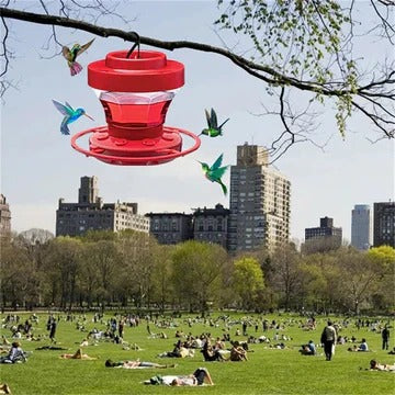 Vibrant 16oz Hummingbird Feeder with Ant Shield & No-Spill Design