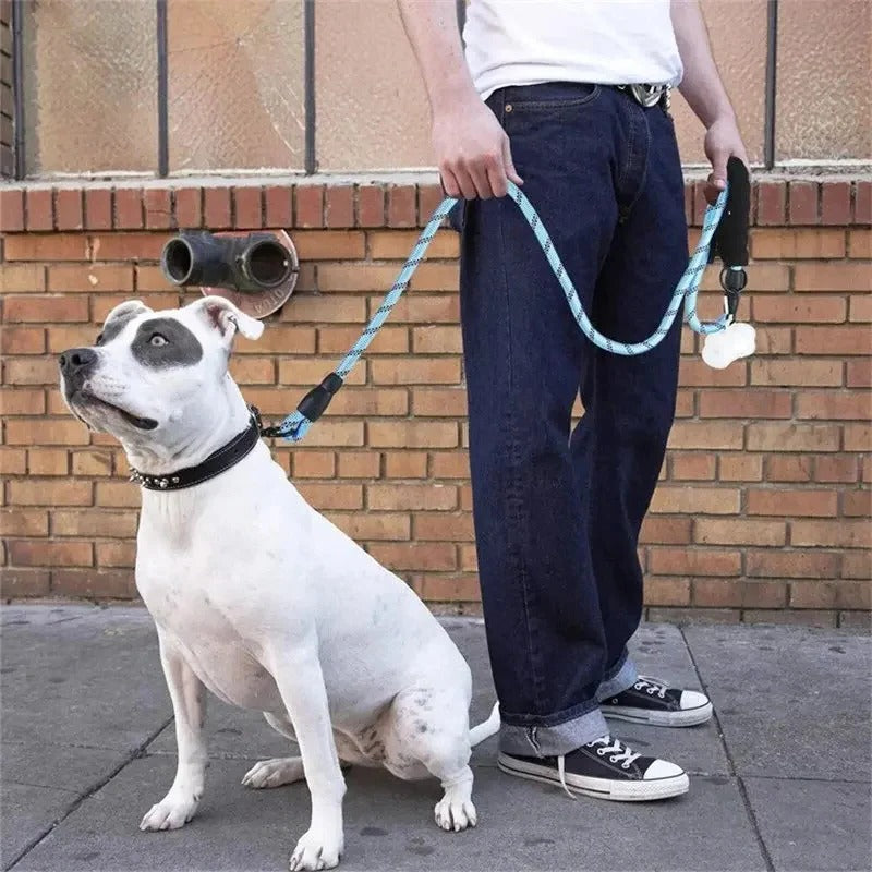 High-Visibility Dog Leash with Ergonomic Grip