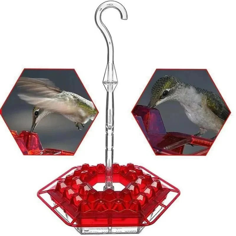 Ultimate Outdoor Hummingbird Feeder with Ant Barrier & Perch