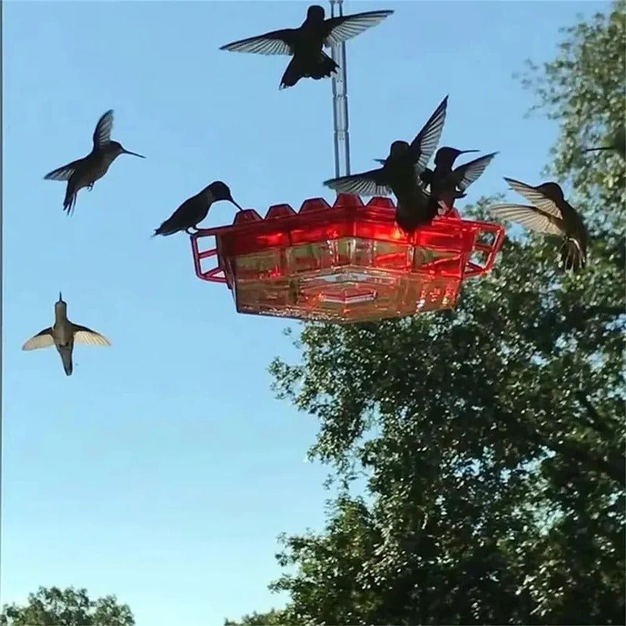 Ultimate Outdoor Hummingbird Feeder with Ant Barrier & Perch