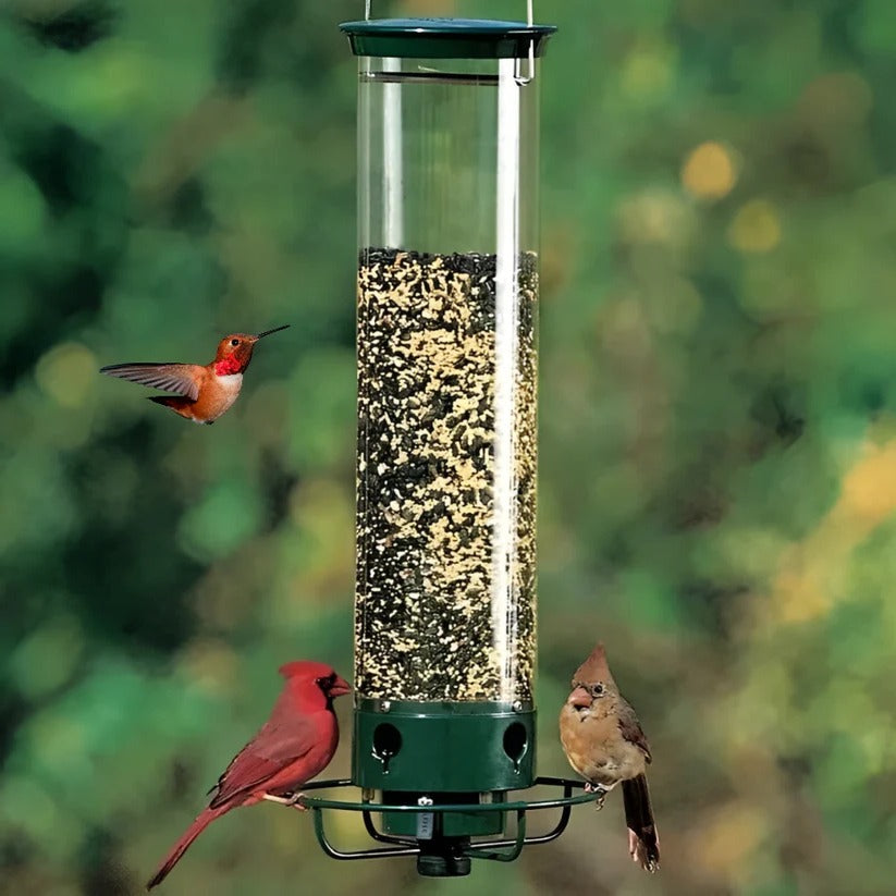 Durable Outdoor Bird Feeder with Squirrel Deterrent Feature
