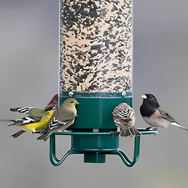 Durable Outdoor Bird Feeder with Squirrel Deterrent Feature