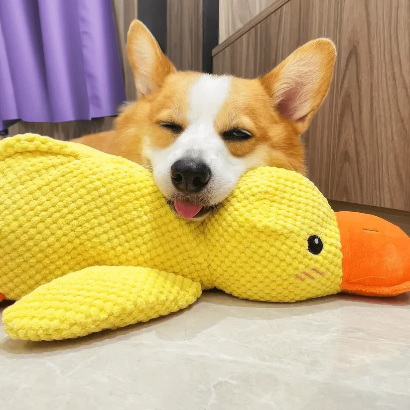 Plush Quacker Buddy – The Perfect Playmate for Dogs